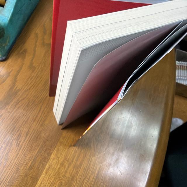 ����������ƍN��������b�ɂȂ����� (�r�W�l�X����) �s�P�s�{�t �� �{/�G���� 