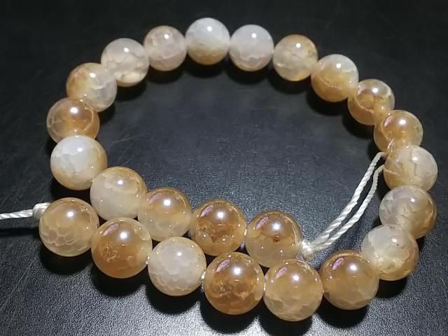 �V�R�΁��V�����p���N�H�[�c�@���E���h�W�����@���A �� �����A�N�Z�T���[/���v�� 