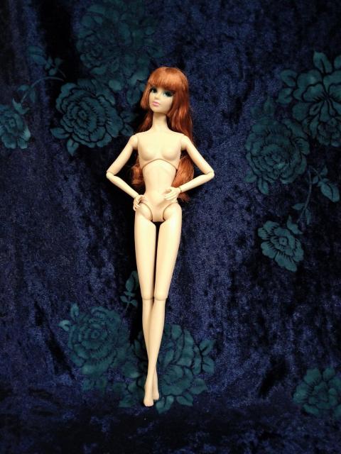 �C���e�O���e�B�g�C�Y��1/6�h�[�����{�f�B�f�� �� ��������� 