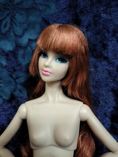 �C���e�O���e�B�g�C�Y��1/6�h�[�����{�f�B�f�� �� ��������� 