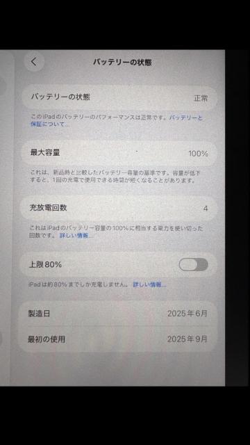 iPad mini (A12 Pro) Wi-Fi���f�� 512GB �o�b�e���[100% �����i �� PC�{��/���Ӌ@��� 