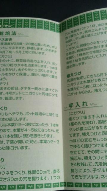 家庭菜園、ニガウリ・ヘチマ栽培方法冊子 にがうり へちま < ペット/手芸/園芸  家庭菜園、ニガウリ・ヘチマ栽培方法冊子 にがうり へちま < ペット/手芸/園芸の