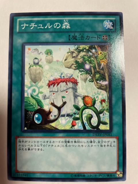 VYyEi`̐Xz  g[fBOJ[h 