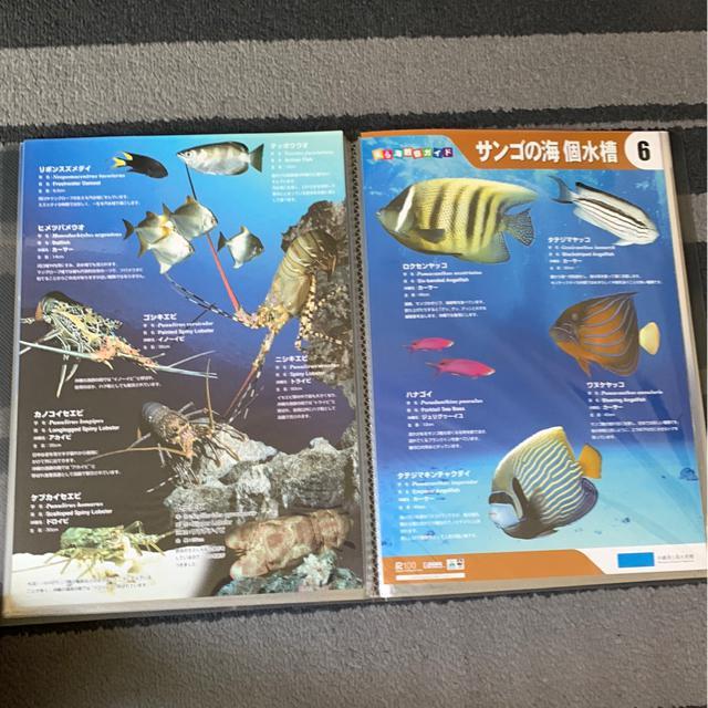 Cف@ώ@KCh16  ybg/|/| 