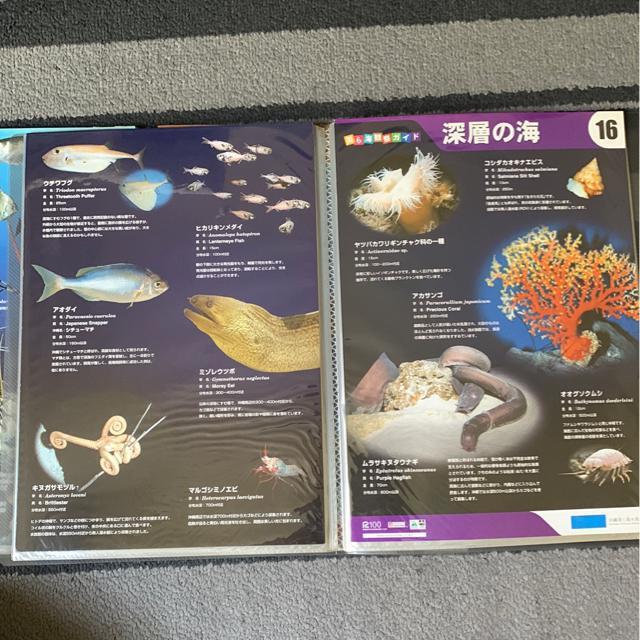 Cف@ώ@KCh16  ybg/|/| 