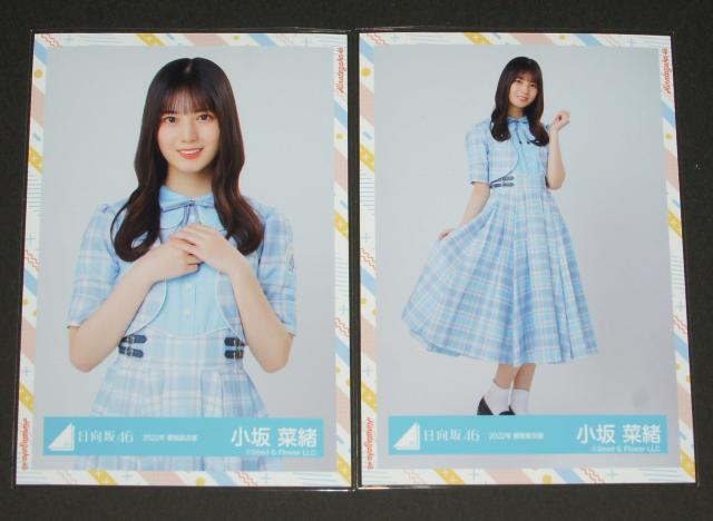 46 ؏@ʐ^SRv@2022Đߑ  ^gObY 