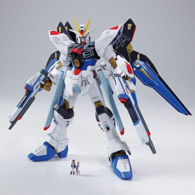 HG 1/144 ZGMF-X20A ストライクフリーダムガンダム Ver.GFT < ホビー  HG 1/144 ZGMF-X20A ストライクフリーダムガンダム Ver.GFT < ホビーの