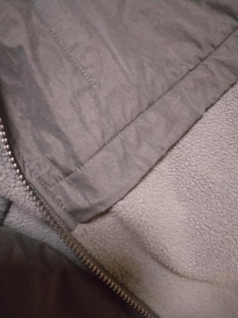 Vi[hINTELECTIONfGt[X~^t^ t[htّfރJWAgR[g49500~ݔ̔