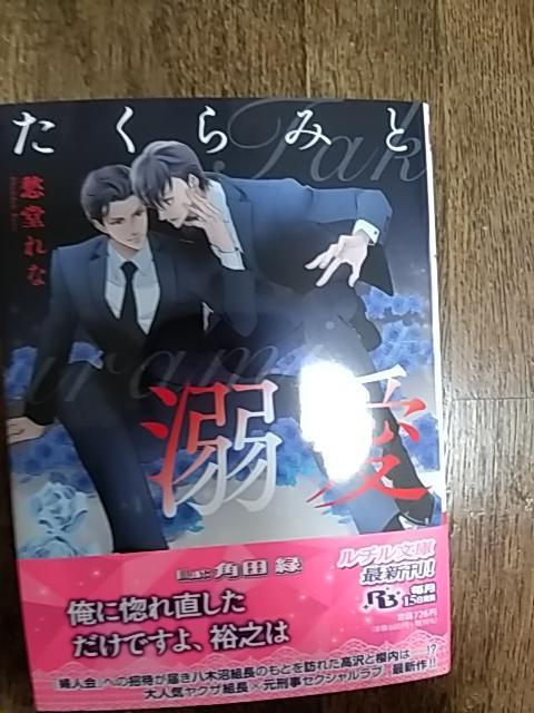 3月新刊  たくらみと溺愛   愁堂れな/角田緑 < 本/雑誌  3月新刊  たくらみと溺愛   愁堂れな/角田緑  < 本/雑誌の