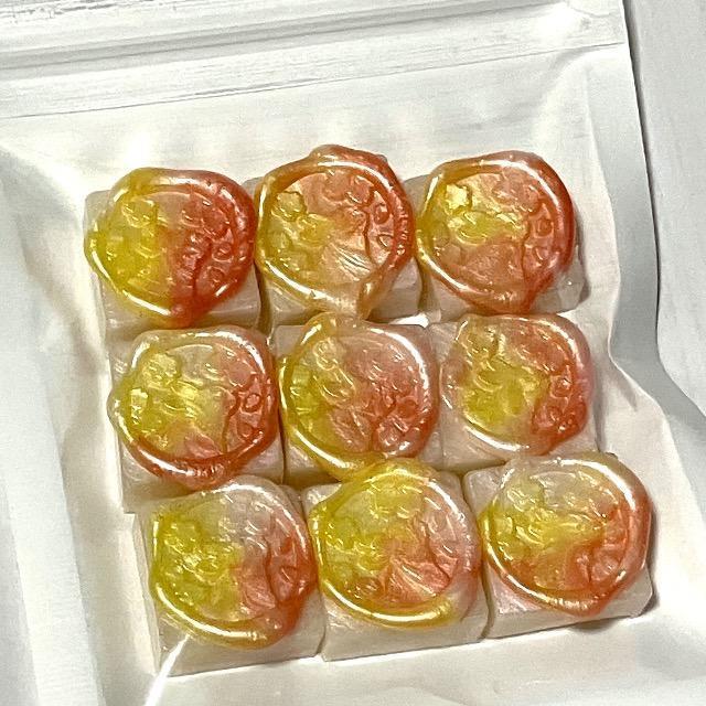 V[ObNX@IWi@nhChfށ@V[OX^vɁ@9 