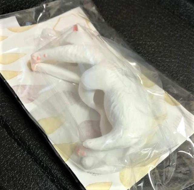 `˂̎P^OŐQႤ́HtFVVlR  ybg/|/| 