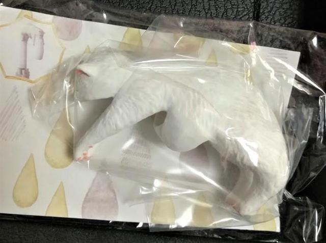 `˂̎P^OŐQႤ́HtFVVlR  ybg/|/| 