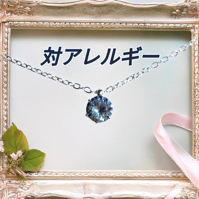  F ΃AM[T[WJXeXꗱfju[CZlbNX   ANZT[/v 