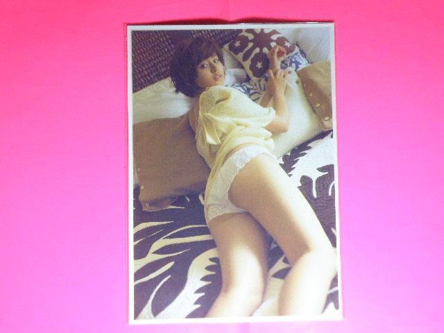 ★鈴木 ちなみ(すずき ちなみ)チャーミング&セクシーショット A4サイズ6枚+B5サイズ+◎ クリアポケット入り < タレントグッズ ★鈴木 ちなみ(すずき ちなみ)チャーミング&セクシーショット A4サイズ6枚+B5サイズ+◎ クリアポケット入り < タレントグッズの