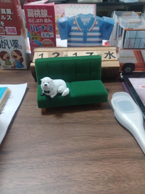 sPYXFAMlLY �X�}�z�X�^���h�|�{���h�t�H�[�W���[ �� �j���A�N�Z�T���[/���v�� 