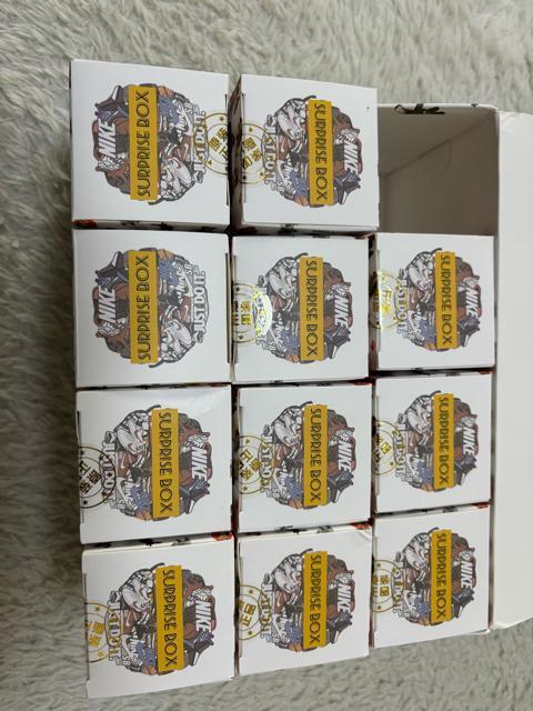 �i�C�L AJ1 �~�j�`���A�t�B�M���A �T�v���C�Y�{�b�N�X �� �z�r�[�� 