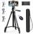 【アマゾンベストセラー1位】スマホ 三脚  三脚 Bluetoothリモコン付き 3WAY雲台
