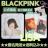 The Album: BLACKPINK Vol.1★リサ★ポスカ1枚など