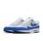 NIKE AIR MAX 1 ANNIVERSARY Royal 2017 28.5cm iCL GA }bNX Ajo[T[