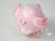 |PbgX^[ J[ZNVʂ pink bL[