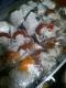 tďH~hR_PgуN[i[20Zbg!!