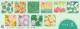 O[eBO؎qCtEԁr110~؎ AXpKX fBbV