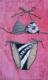 ALBA ROSA  ԐlC Op޷Ɛ ׯ ܲ ۺ i