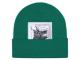 Supreme The North Face Beanie Green