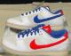 NIKE DUNK LOW Year of the Rabbit 23f  25.5cm Vigp
