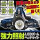 ͏Ǝ wbhCg h  LED wbhv ނ DL-HEAD