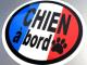 CHIEN a bord/DOG in CAR�t�����X��X�e�b�J�[�������̂��Ă܂�