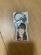 AKB48 哇Dq@L[z_[@Vi