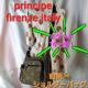 ���݁����|�P�b�g16�IPRINCIPE /�v�����`�؁��V�����_�[�o�b�O��