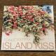 yISLAND KISS ~J-POP COVERS~z