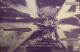 �@����m�K���_��SEED FREEDOM  ����@HG  1/144  �X�g���C�N�t���[�_���K���_�� &  ���̗��G�t�F�N�g�Z�b�g