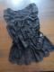 ZARA COLLECTION�������[�X�g�b�v�X���V�i���l���d�˂ā��f�G�Y�큚����������
