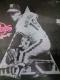 SOUL TIGERS -Rõe[}-doR[h