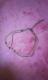 ݸ~ް אg2Aڽگ ؚ  i