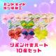 nhCh@܂莆׍H@n[g{@10Zbg@o^C@v[g@POP @fBXvC@Hf
