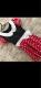 ^Xi@ߗށ@܂ƂOK z[N[jOς݁@RXv@~j[񕗈ߑ@XS