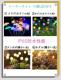 �y�V���i�z�y4��ށz�\�[���[���O�K�[�f�����C�g�@�z�^�����C�g�@�^���|�|���C�g10�� �h��� ���O �����_���̖��邢LED�����h��