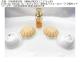 �����{��\�L����NINA RICCI�i�j�i���b�`���[���f���^�������i�I�[�h�g�����j���p�t���[���\�[�v 2�Z�b�g ���Ȃ�