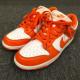  NIKE DUNK LOW SP iCL _N [ Xj[J[ 30.0cm