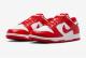 NIKE DUNK LOW g