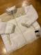 THE NORTH FACE 傫size XXL _E t[XkvV m[XtFCX