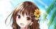 l summer a color  IWi C96