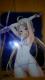 @gƗ̉(hSYtg)@NAt@C