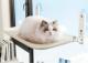 yViz^&^TCYLbgEBhExbh | ܂肽ݎLbgEBhEnbN | ܂肽݉\