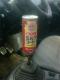 󂫊ʃVtgmu~NR[q[M12~P1.25lC