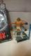 JiI MdIWWE FURY ̭ذ èүāDر WCW 2008
